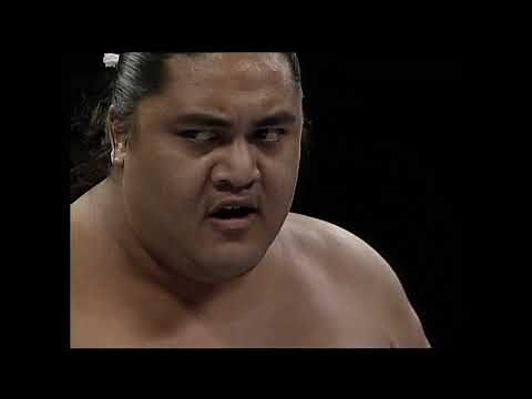 WWF Superstars 01 02 1993 (Full Show 1080p)