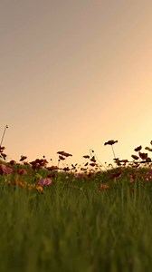 In commemoration of Remembrance Day, Birdsong’s Max Bowden reads John McCrae’s “In Flanders Field”, the poem which inspired the use of the poppy as a symbol of Remembrance. Lest we forget. | His Majesty's Theatre