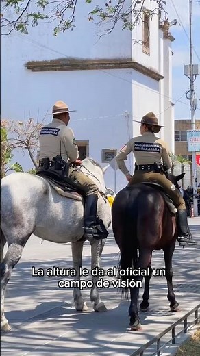 The police's secret weapon that no one expected to keep seeing