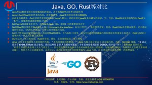 主流编程语言：Java，Go，C/C  和Rust性能对比分析