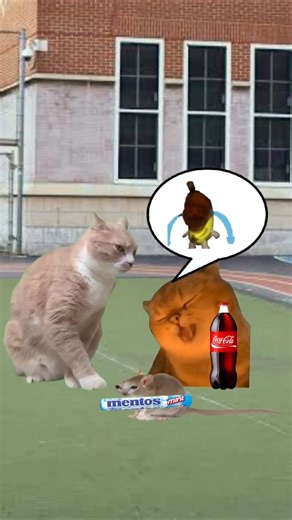 Baby Banana Cat Mentos & Coco Cola School Day 🐱❤️ #catmemes #cat #shorts #fyp #bananacat