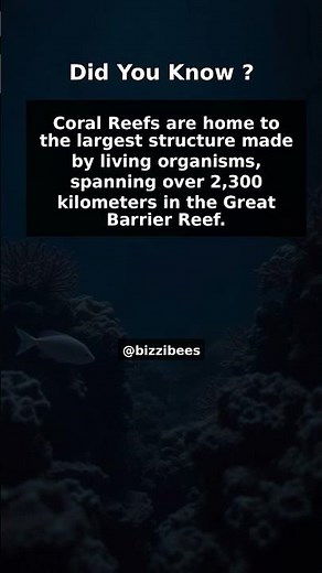 Did You Know Facts - Coral Reefs
