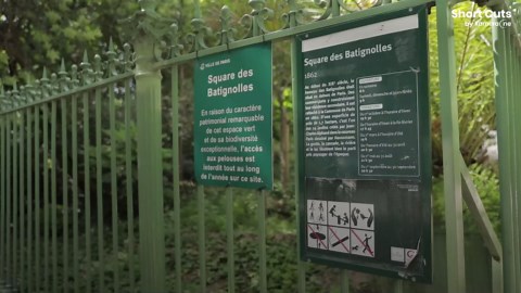 France bans smoking in outdoor public spaces to protect health