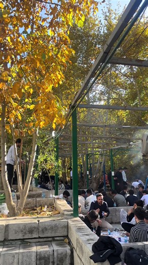 Blnd Barzani 703: Unforgettable Picnic Moments