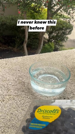 Blueberry hack #kitchenhacks #easyhacks #blueberry | Mama I Am Hungry