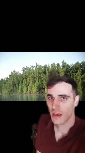 Identifying the Top 3 Common Trees in Minnesota