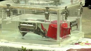 Indonesia finds CVR of crashed Sriwijaya Air jet