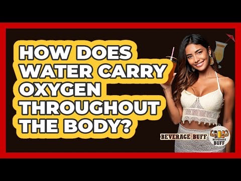 How Does Water Carry Oxygen Throughout The Body?