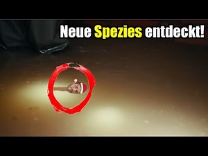 Kot, Urin und Kokain - 1 Tag in der Kanalisation | Reaktion