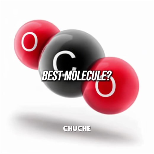 The Vital Importance of H2O in Life