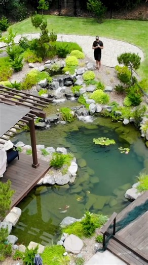 Build me a Pond that is Different ⚡️ #landscapedesign #naturalpool #ponds #backyarddesign #nature