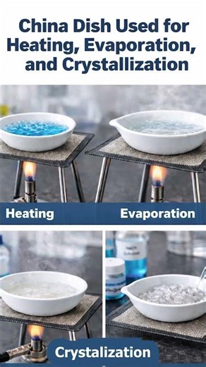 China Dish Explained | Introduction to Lab Apparatus | PBA / Federal Board Practical #shorts