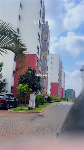 Graduation Day Preparation and Picnic Ideas