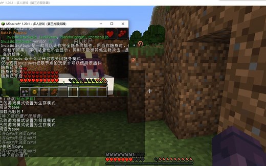 从阴影中观察你的Minecraft服务器：高版本隐身插件推荐！