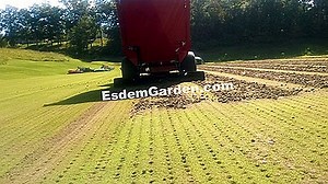 Scarifier: Untuk Rumput Yang Lebih Indah Dan Sehat 🌿 Semua Tentang Berkebun Dan Desain Taman - 2025