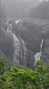Beautiful Mallalli Falls, Somwarpet, Coorg During Monsoon Season 4K #mallallifalls #nature #coorg