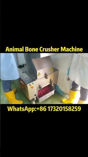 Powerful Bone Crusher Machine | Efficient Animal Bone Processing#bones #bonecrusher