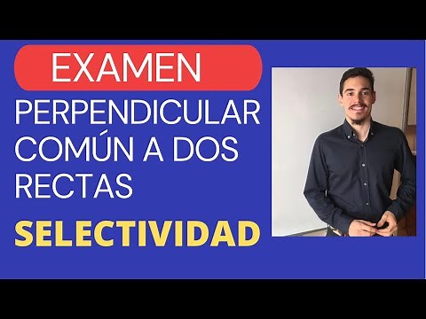 PERPENDICULAR COMÚN A DOS RECTAS - EJERCICIO DE SELECTIVIDAD PASO A PASO