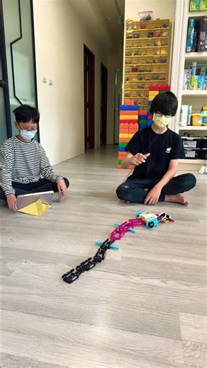 #創意機器人 #lego #樂高 #機器人 #Spike #EV3 #wedo #國中 #國小 #社團 #週六 #蛇 #樹枝 #蛇來運轉 #20260321