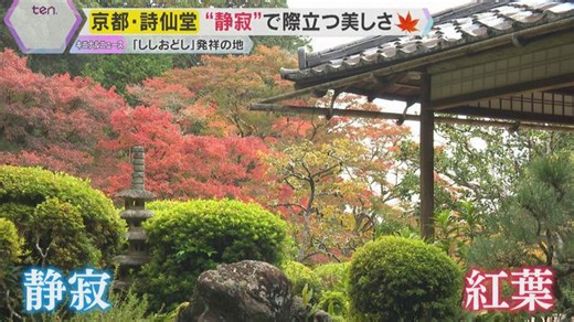 深まる秋…「今一番いい」見ごろ迎えた各地の紅葉スポット 京都では紅葉美しいお寺で万博ロス解消も⁉