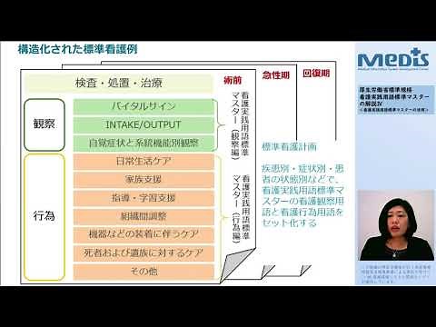 看護実践用語標準マスター 解説４