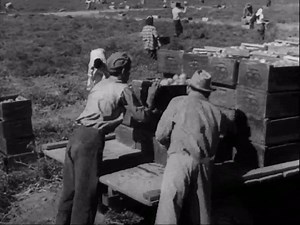 The Lawless (1950) (1080p) Macdonald Carey, Gail Russell, Johnny Sands : Free Download, Borrow, and Streaming : Internet Archive
