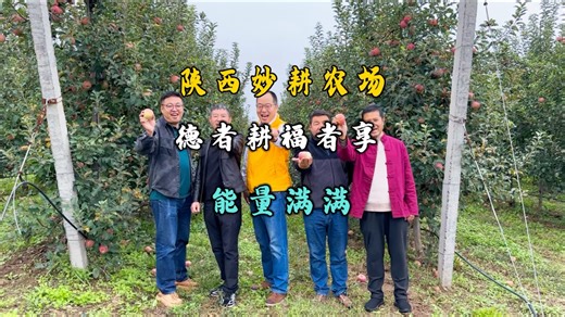 陕西妙耕农场，德者耕福者享，能量满满#感谢自然 #绿色生态农业 #有机种植 #产地直发