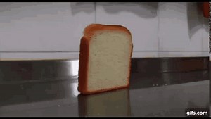 Falling Toast Live Toast Reaction GIF – Falling toast Live toast reaction Toast dies – discover and share GIFs