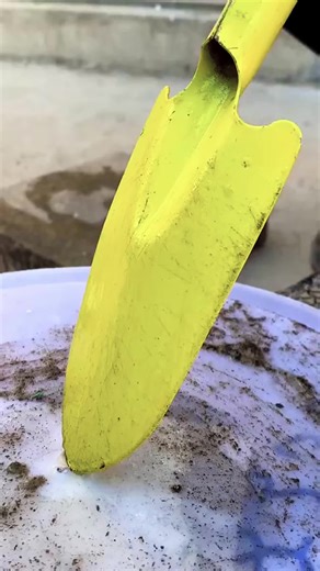 The Truth and Lies: A Family Experiment Revealed