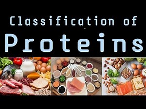 Classification of Protein