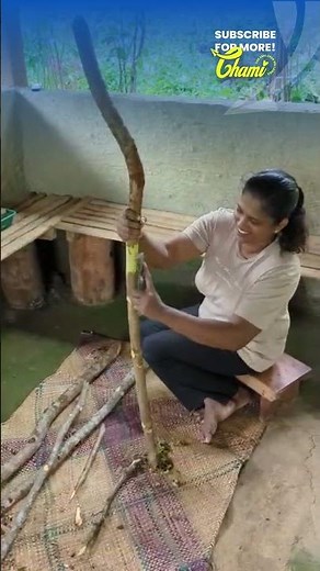 Sri Lankan Cinnamon Processing