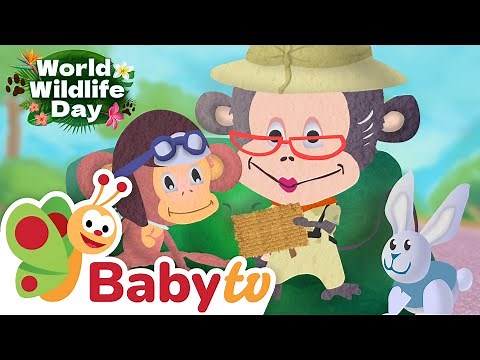Giraffe 🦒 | Wild Animals for Kids | Learn About Giraffes with BabyTV