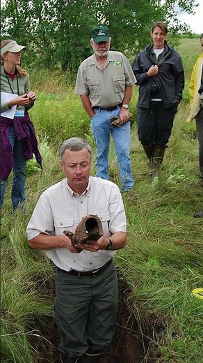 History of Wetland Drainage (Episode 36) #wetland