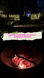 2K views | Carey's Secret Garden near Wareham is a tranquil hidden gem with a sprinkling of magic. | Visit-Dorset | Facebook