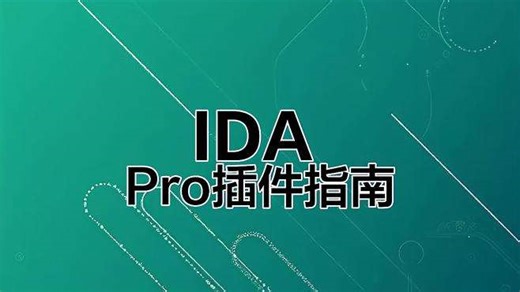 IDA Pro 9安装与插件配置，支持多种功能扩展。