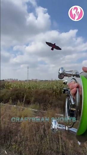 Kite | Amazing technique! Flying a kite into the sky in just three strokes!
