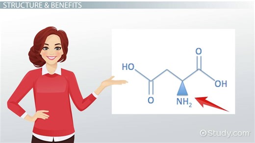 Aspartic Acid | Function, Structure & Benefits - Video | Study.com