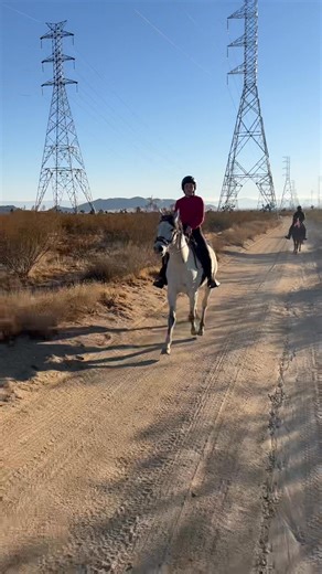 3.3K views · 165 reactions | Benny Hill’s theme music in the background. Perfect music 藍 #gettinghorsesreadyforadoption #ltharabianrescue #canterroad | Love this Horse, Equine Rescue Inc. | Facebook