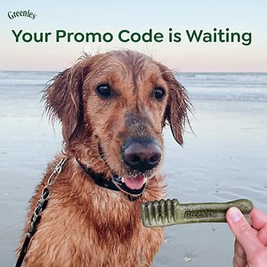 9.9K views · 142 reactions | Our Red White & Blueberry Sale is right around the corner, but you don't have to wait to save on our exclusive Blueberry Summer Bundle! 𢡄 Get your special promo code to save on the treat bundle of the summer before the discount is available to the public! ⬇️ | Greenies | Facebook