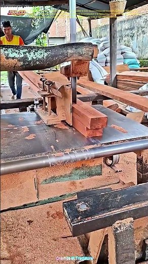 La machine à découper en action : Comment la précision transforme le bois en matériau utile