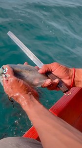 1M views · 6.7K reactions | អ្នកចឹងដឹកឆាតមកណា | Best Camera Shop | Facebook