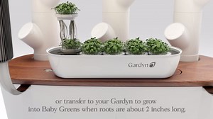 GARDYN Complete Microgreens Growing Kit - Indoor Herb Garden - Indoor Hydroponics Growing System Kit Nursery Seed Starter Tray, 20 Seed Pads, Bamboo Wicks,10 Grow Plates