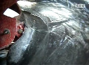 Specific Gravity Separation/Gravity Spiral Chute/ Gravity Spiral Sluice/Gravity Spiral Concentration