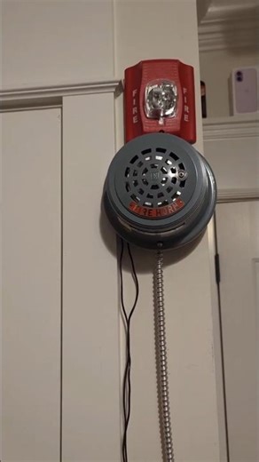 Edwards Adaptahorn 384 W/ System Sensor SR Test #shorts #firealarm #firealarmsystems #tech #fyp