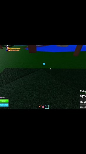 Blox Fruits: Update 24 and Tiger Rework Highlights