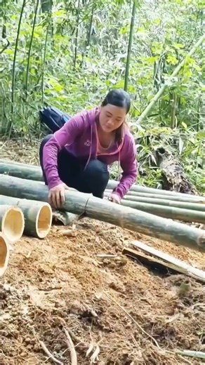Start Installing Poles and Upper Framework for a Bamboo Stilt House