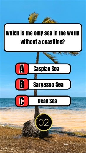 Which Sea Has No Coastline? 🌊🤯 | Tricky Geography Quiz #shorts
