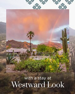 56 reactions · 6 comments | Plan your stay at Wyndham Grand Westward Look in Tucson, AZ and experience unforgettable desert beauty with a guided horseback ride. | Wyndham Grand Hotels and Resorts | Facebook