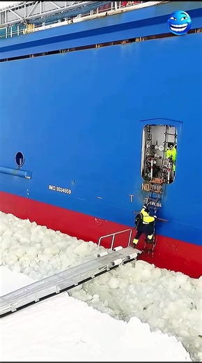 Exploring Ocean Life: Stunning Waves and Storms at Sea