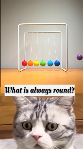 Most Satisfying Physics Experiment! 😱 Science vs Cat 🇬🇧 #uk #cat